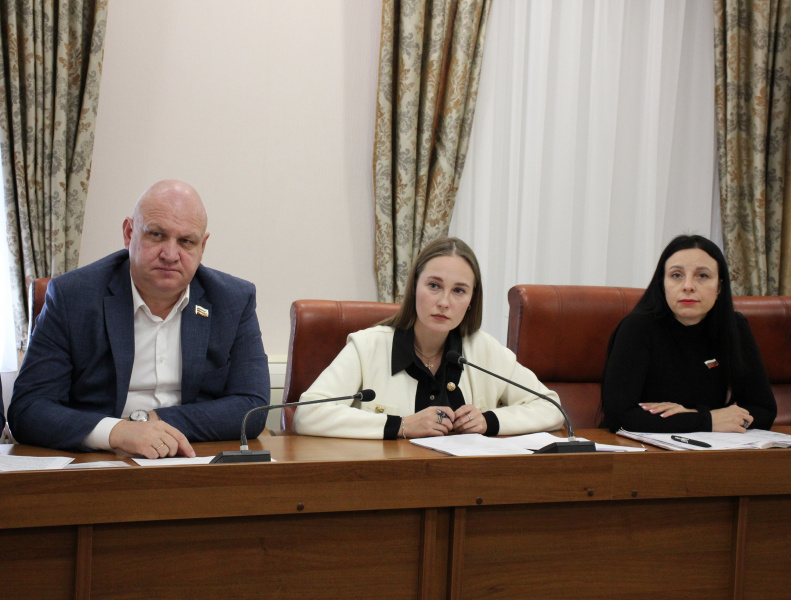 Городские депутаты обсудили финансирование молодёжной политики на 2026 год и механизмы привлечения молодёжи к реализации инициативных проектов