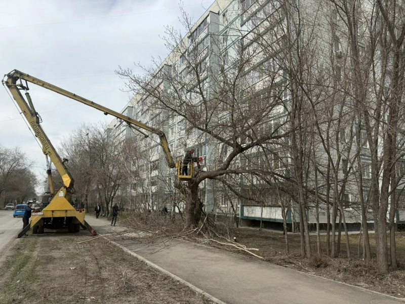 В Ульяновске ведётся обрезка и снос аварийно - опасных деревьев по наказам жителей
