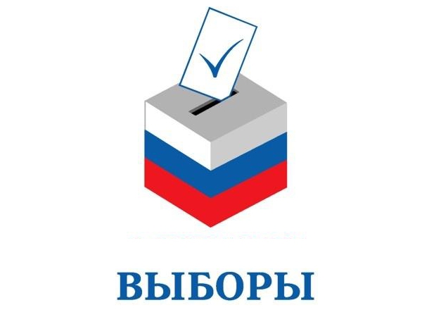 В Ульяновске завершились довыборы в городской парламент