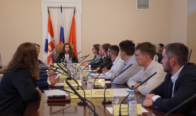 Молодые парламентарии обменялись опытом участия в грантовых конкурсах на заседании Ассоциации молодежных парламентов ПФО