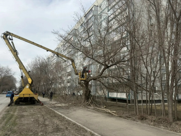 В Ульяновске ведётся обрезка и снос аварийно - опасных деревьев по наказам жителей