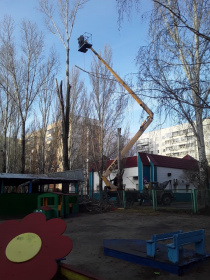 На территории детского сада № 218 провели глубокую обрезку деревьев