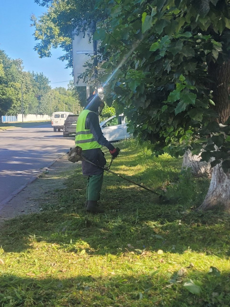 Депутаты Гордумы активно работают над благоустройством городских территорий