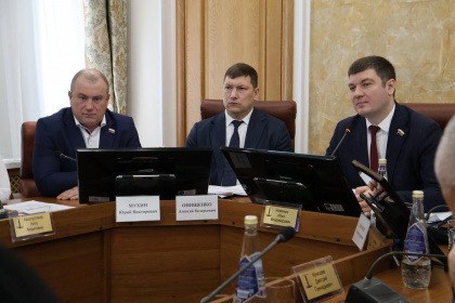 Депутаты Городской Думы обратили внимание на необходимость повышения качества уборки дорог и улучшения архитектурного облика центральной части города