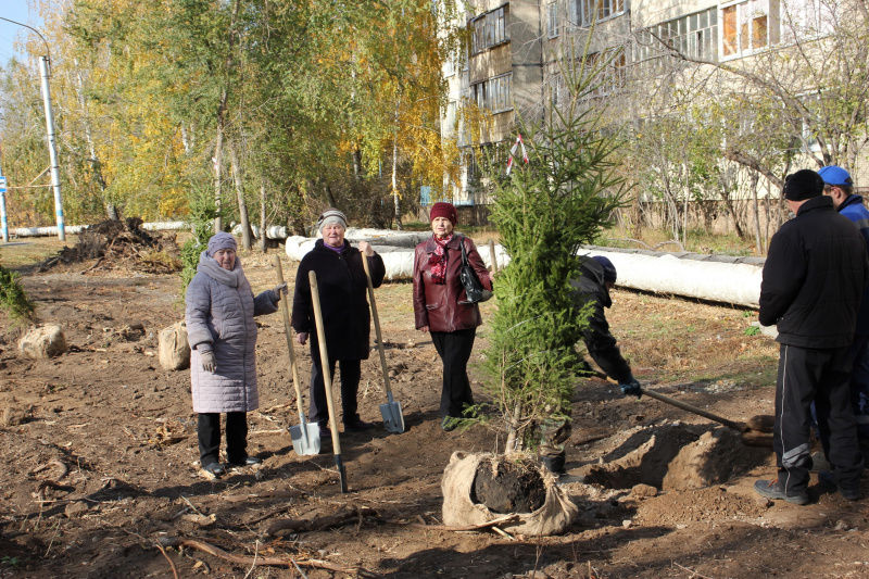 Сад памяти в честь героев СВО появится на улице Краснопролетарской, 15